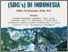 [thumbnail of Cover SUSTAINABLE DEVELOPMENT GOALS (SDG’s) DI INDONESIA]