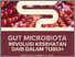[thumbnail of Cover GUT MICROBIOTA REVOLUSI KESEHATAN DARI DALAM TUBUH]